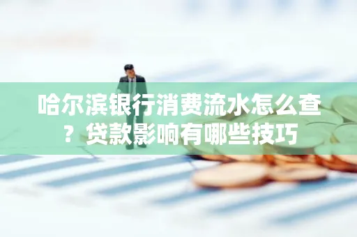 哈尔滨银行消费流水怎么查?贷款影响有哪些技巧